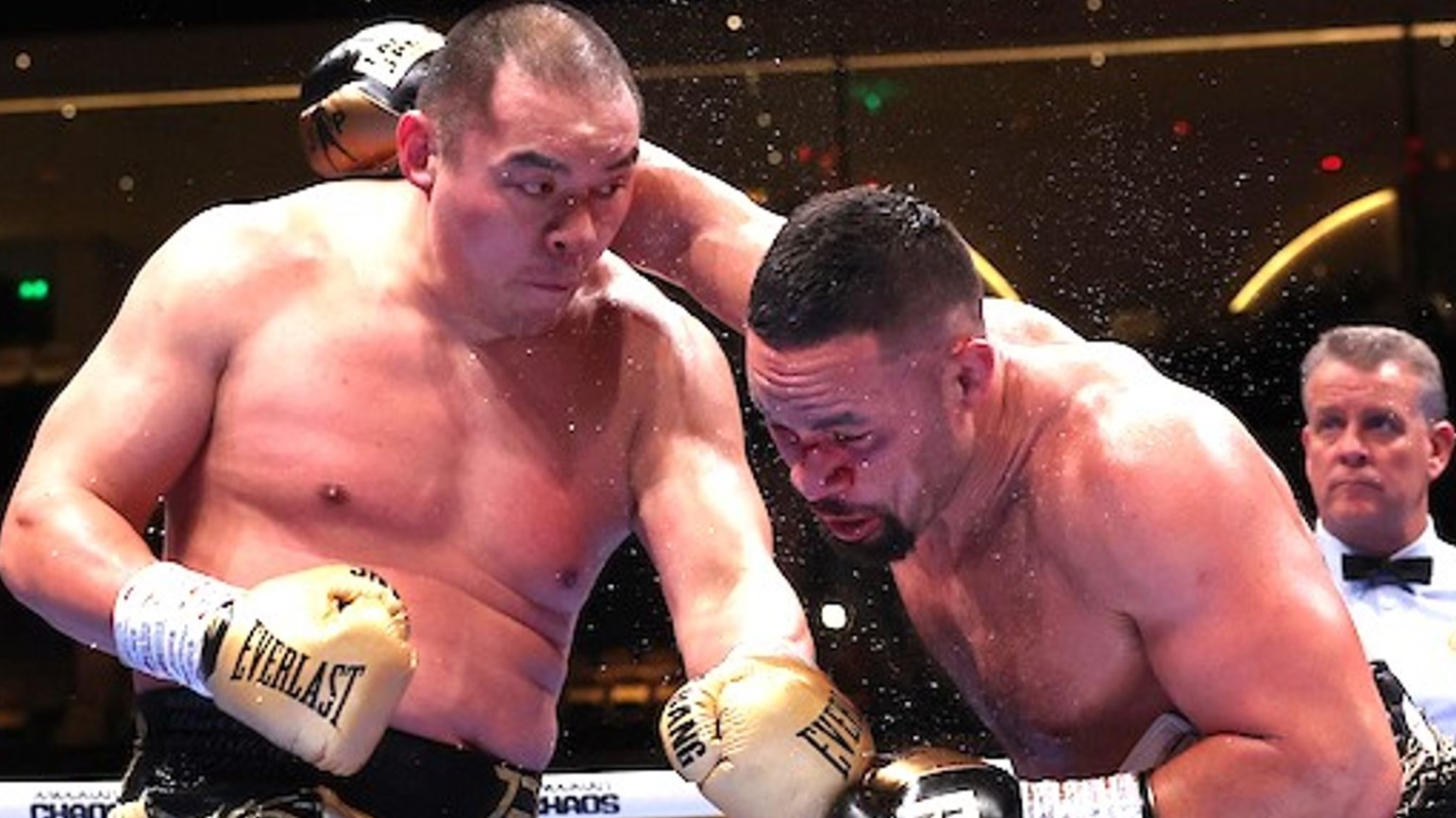 Overview Brief introduction to the significance of the fight between Zhilei Zhang and Joseph Parker 1